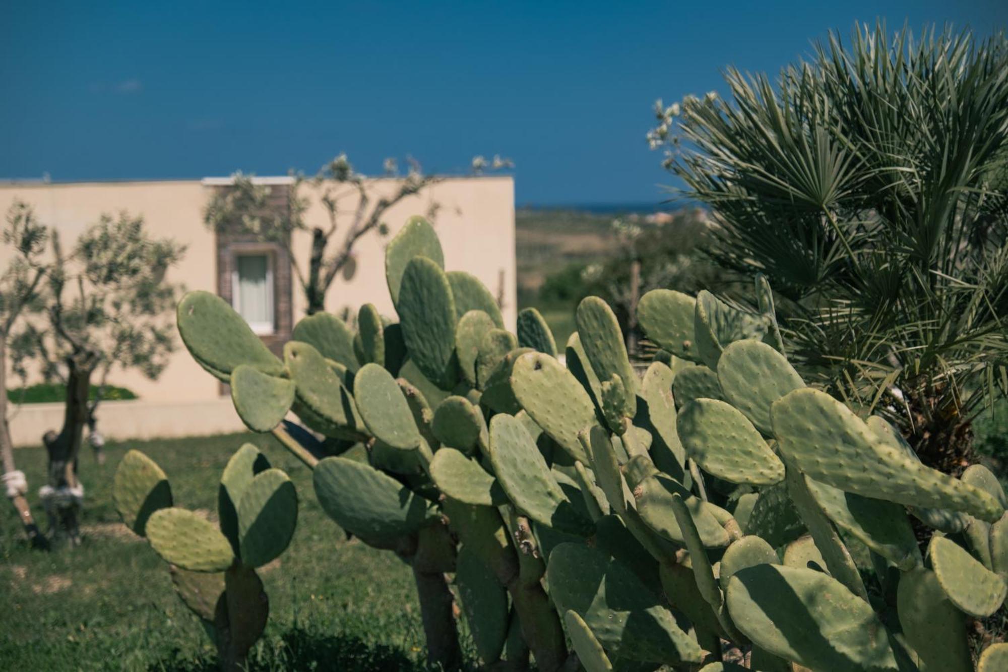 New Exclusive Lodges, Marzamemi, Noto Pachino Kültér fotó